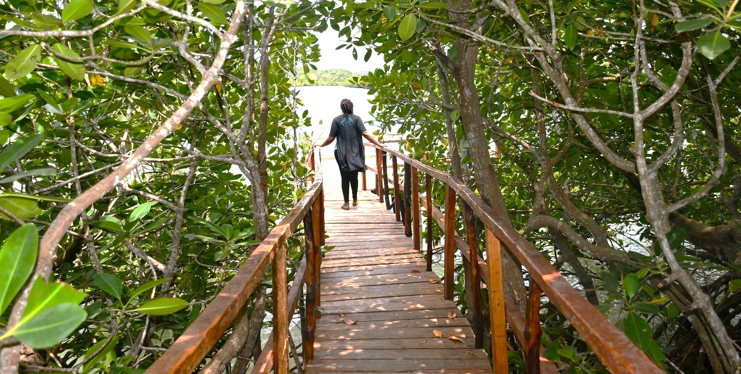 KWETU board walk within the mangrove forest in Mtwapa Creek